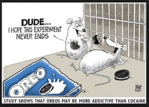 Cartoon of mice getting high on eating Oreo cookies